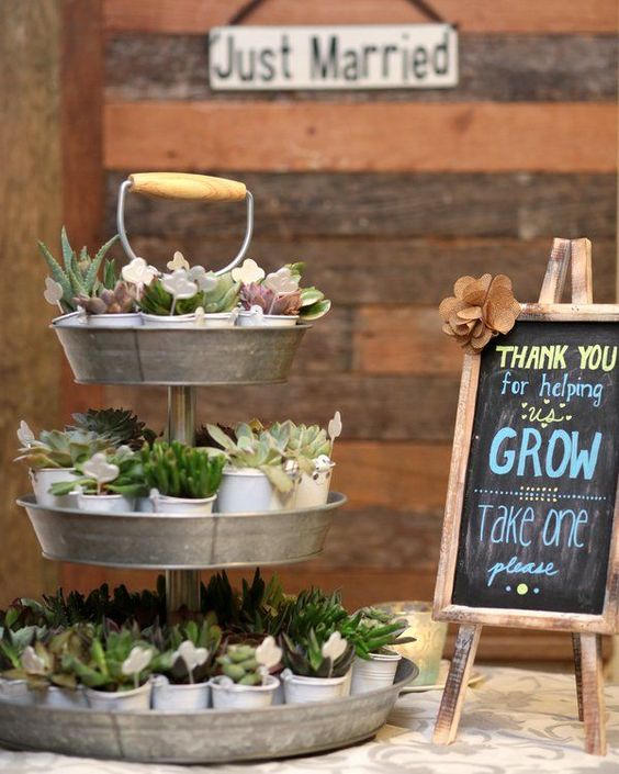 plant wedding favor